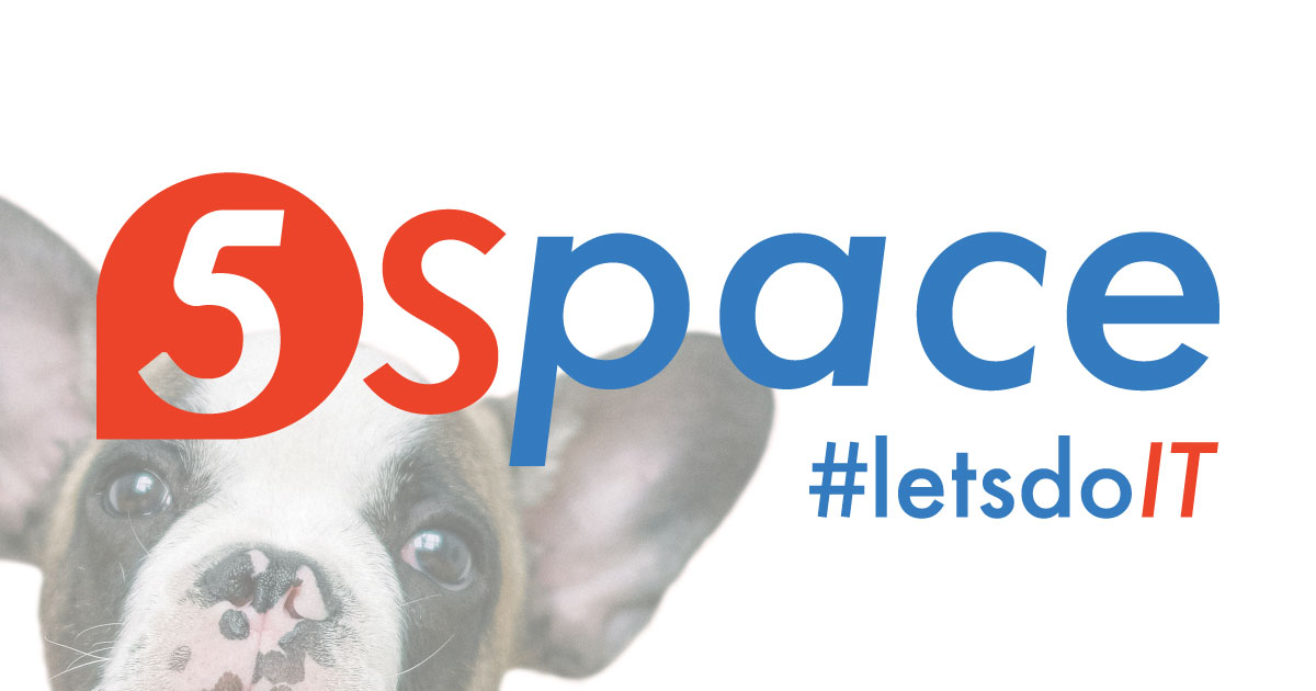(c) 5space.it